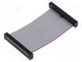 Ribbon cable with IDC connectors; IDC,both sides; 50.8mm; 2" SAMTEC FFSD20D020001NR