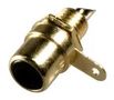 SOCKET, PHONO, GOLD/BLACK PSG01510