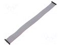 Ribbon cable with IDC connectors; IDC,both sides; 304.8mm; 12" SAMTEC FFSD20D12.0001N
