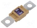 Fuse: fuse; 225A; 32VDC; automotive; 68mm; M8 screw; 68x18.3mm ELED MGP2252