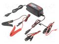 Charger: microprocessor-based; AGM,GEL,acid-lead,Li-FePO4 Everpower EPA1205L