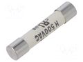 Fuse: fuse; 1A; 500VAC; quick blow; ceramic,cylindrical; SHF SCHURTER 8020.5068.G