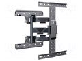 Holder; for wall mounting; 36.4kg; 32÷65"; black GEMBIRD WM-65ST-01