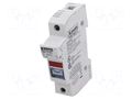 Fuse base; 10x38mm; for DIN rail mounting; 32A; Poles: 1; 1kVDC LOVATO ELECTRIC FB01D1PL