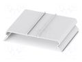 Cover; L: 10.5mm; W: 54.5mm; H: 1000mm; Body: natural PHOENIX CONTACT AP-BTO5.5/14