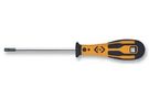SCREWDRIVER TORX TX 09X70 T49117-09