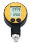 MANOMETER, 300BAR, 0.1% LEO2 / 300BAR / 81021.1