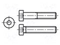 Screw; M3x16; 0.5; Head: cheese head; hex key; HEX 2mm; steel; zinc BOSSARD B3X16/BN17