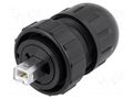 Connector: USB B; plug; Data-Con-X; for cable; straight; USB 2.0 SWITCHCRAFT DCC-USBBB-150