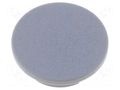 Cap; plastic; grey; push-in MENTOR G4309.0041
