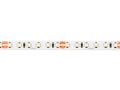 LED strip 600/5m SMD 24V 11000K 9,6W IP20 8mm 5m 800lm/m PRIME 241567 5901583241567