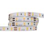 LED riba 60 LED/m SMD5630 24V SAMSUNG, 2700K soe valge, LED line 247743 5901583247743