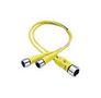 SENSOR CORD, M12 PLUG-2X RCPT, 23.6" 120068-0189