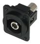 RCA KEYSTONE COUPLER, RECEPTACLE, BLK KRCABKBKDPM