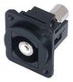 RCA KEYSTONE COUPLER, RECEPTACLE, BLK KRCAWHBKDPM