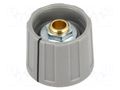 Knob; with pointer; ABS; Øshaft: 6mm; Ø20x15.5mm; grey; A2620 OKW A2620068