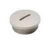 BLANKING PLUG, M20, GF NYLON 6, 24MM VP M20 K54