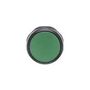 COMPACT P/BTN GREENMOME FLUSH BLK BEZEL 1SFA619100R1012