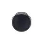COMPACT P/BTN BLK MOME FLUSH BLK BEZEL 1SFA619100R1016