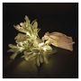 LED decoration - mistletoe branch, 2x AA, warm white, timer, EMOS DCTW29 8592920147290