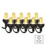 LED light chain – 10× party bulbs, 4.5 m, indoor and outdoor, vintage, EMOS DCPV01 8592920099070