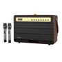 Wireless Bluetooth Speaker W-KING K6L 120W + 2 microphones (brown), W-KING K6L brown