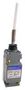 LIMIT SW, COIL SPRING, DPDT-DB, 6A, 120V 9007C62JM11