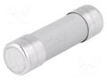 Fuse: fuse; 25A; 690VAC; gG; ceramic,cylindrical,industrial BUSSMANN C14G25