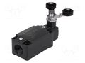 Limit switch; lever R 40mm, plastic roller Ø20mm, double; 10A PIZZATO ELETTRICA FD541