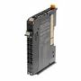 ANALOGUE INPUT PLC CONTROLLERS NX-AD3603