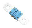 AUTOMOTIVE FUSE, SLOW BLOW, 100A, 58VDC 142.5631.6102