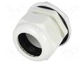 Cable gland; PG42; IP68; polyamide; grey; UL94V-2; 25.4mm KSS WIRING EG-42GY1