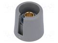 Knob; with pointer; polyamide; Øshaft: 6.35mm; Ø16x16mm; grey OKW A3016638