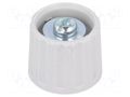 Knob; polyamide; Øshaft: 6mm; grey; clamp mechanism with screw RITEL G21GM-G