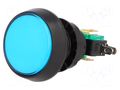 Switch: push-button; Pos: 2; SPDT; 10A/250VAC; ON-(ON); Illumin: LED HIGHLY ELECTRIC VAQ-9-10-12-B