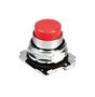 LEGEND PLATE, 30.5MM PUSHBUTTON SWITCHES 10250TM33