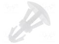 Assembly stud; polyamide; L: 4mm; snap fastener; natural; UL94V-2 FIX&FASTEN FIX-RCA-4