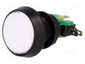 Switch: push-button; Pos: 2; SPDT; 10A/250VAC; ON-(ON); Illumin: LED HIGHLY ELECTRIC VAQ-9-10-24-W