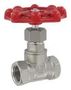 HAND OPERATED GLOBE VALVE,1 FEMALE NPT, HGV04
