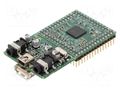 Dev.kit: evaluation; prototype board VLSI VS1005-BREAK-BOARD