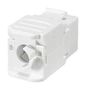 RJ45 CONN, JACK, UTP, 8P8C, 1PORT, CABLE SGKWHCT