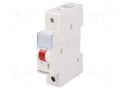 LED indicator; 230VAC; for DIN rail mounting; Colour: red LEGRAND 604078