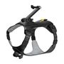 Pet harness size S for mounting Insta360 GO 3/ GO 3S cameras, Insta360 CINSBAVX