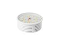 LED bulb SMD 4000K 5W 400lm 230V 110° INSERT fi50mm DIM Ceramic LITE 470737 5907777470737