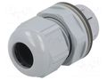 Cable gland; IP68; polyamide; dark grey; push-in; SKINTOP® LAPP CLICK-M20-RAL7001