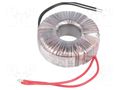 Transformer: toroidal; 100VA; 230VAC; 10V; 10A; Leads: cables; IP00 INDEL TST100W/10V