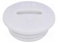Stopper; PG9; IP54; polyamide; grey; V-N-FS; Thread: PG; 6mm HUMMEL HUMMEL-1251090011