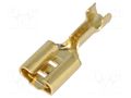 Terminal: flat; 6.3mm; 0.8mm; female; 0.5÷1mm2; crimped; for cable VOGT 3831.60