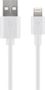 Lightning USB Charging and Sync Cable, 1 m, white, 1 m - MFi cable for Apple iPhone/iPad 54600