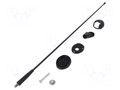 Antenna; car top,automotive; 400mm; AM,FM; Ømount.hole: 10.2mm MTA 7657021